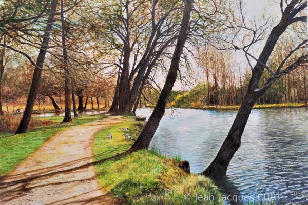 La ballade des oies à Chamarande  