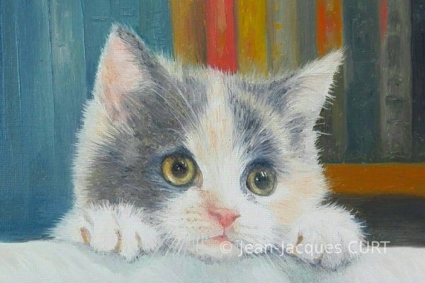 Le chaton qui  guette 