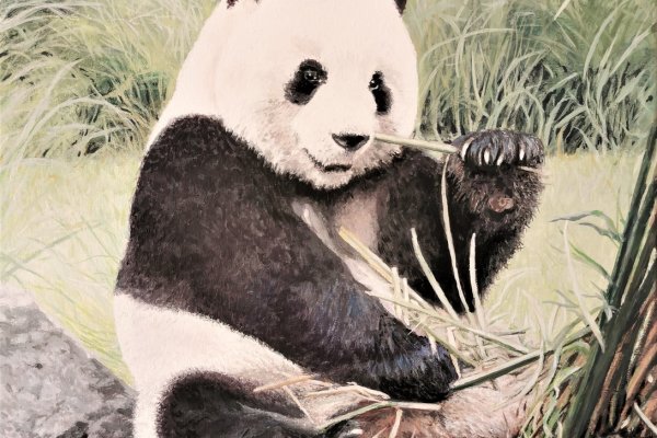 Un adorable végétarien 