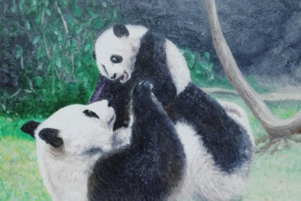 Pandas joueurs 