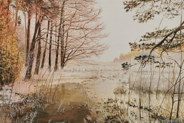 Bord de lac en hiver 