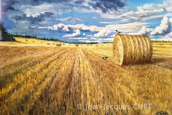 La pie fait la moisson