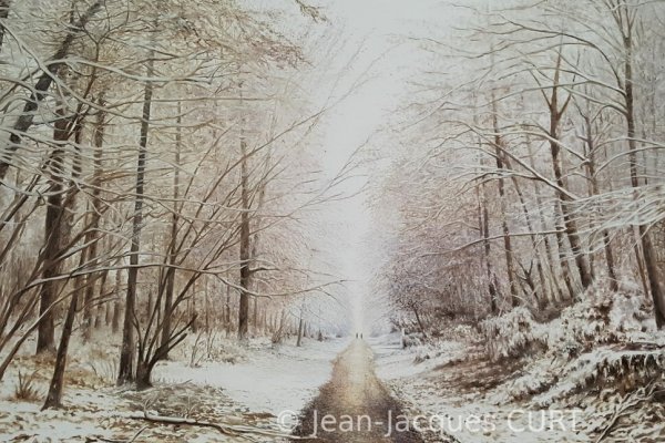Neige en forêt de Fontainebleau