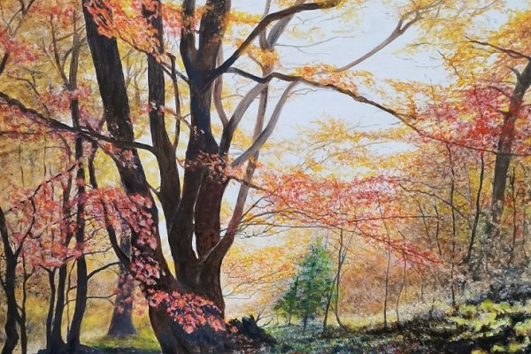 Automne à Fontainebleau 