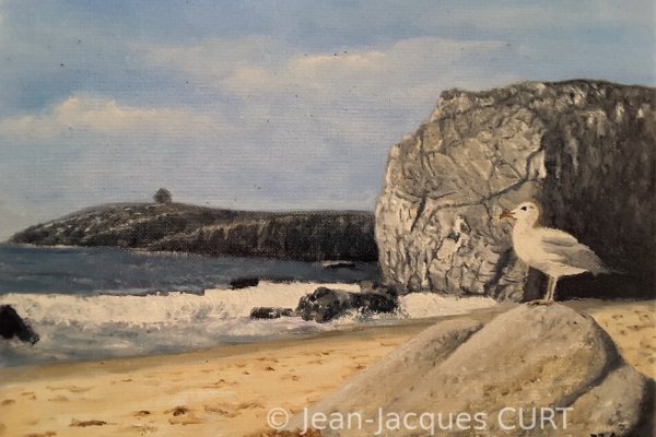 La mouette contemple la mer 