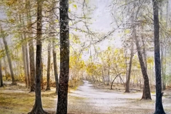 Le banc  et l'écureuil 