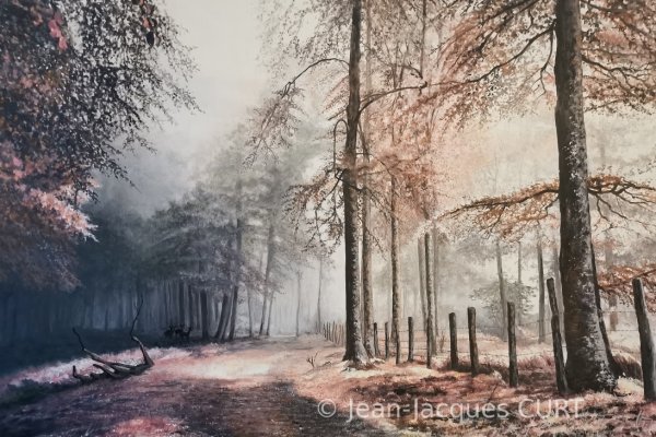 Biches en sous-bois dans la brume 