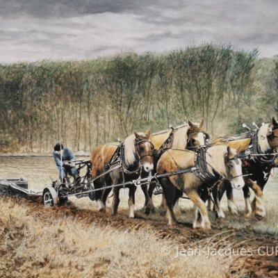 Une arbalette de percherons