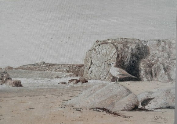 la mouette