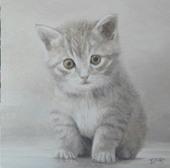 le chaton rêveur