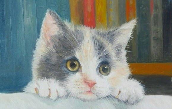 le chaton