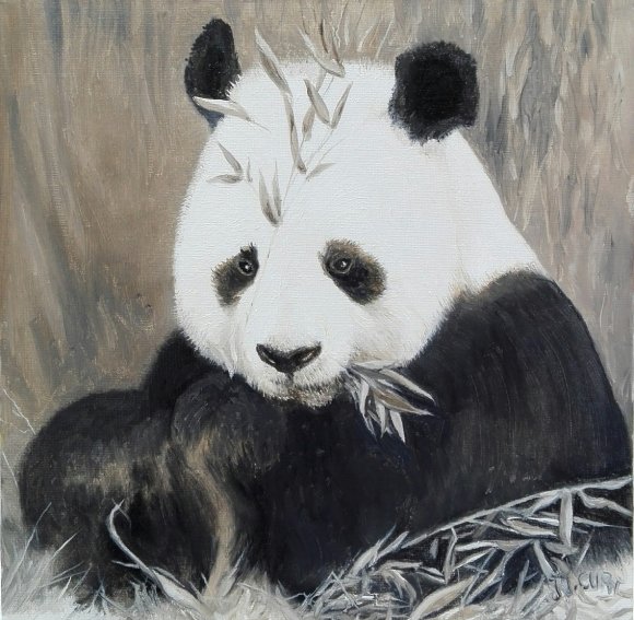 le panda