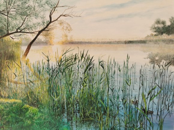 au bord du lac