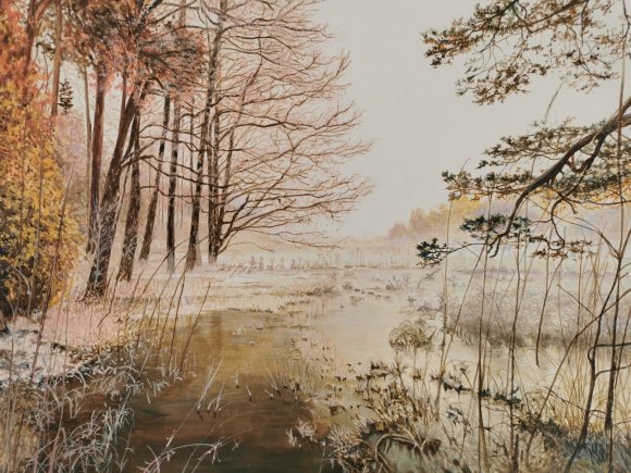 bord de lac en hiver