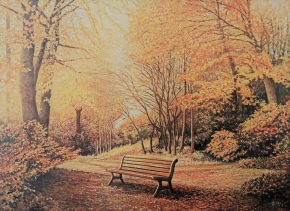 calme en forêt d'automne
