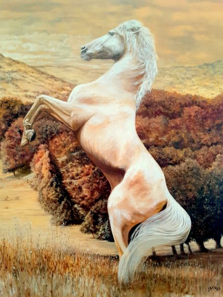 cheval equilibre