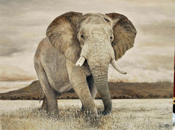 l'éléphant 