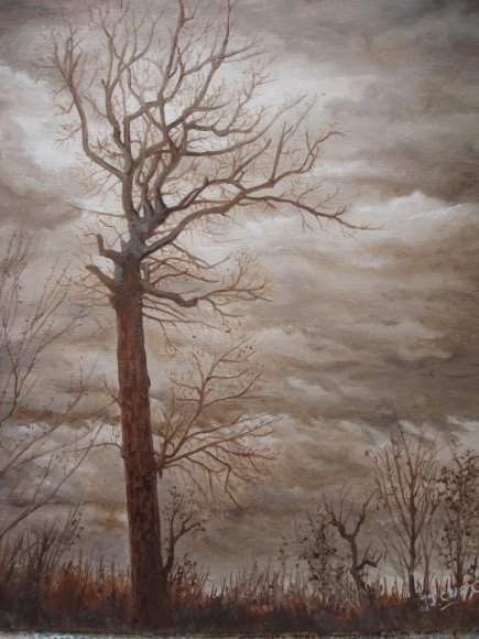 l'arbre et l'orage