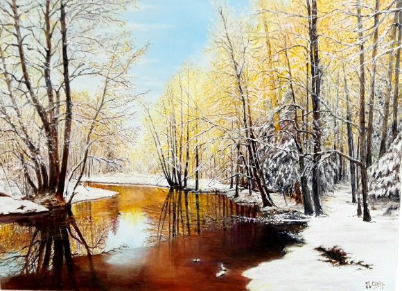 l'etang sous la neige