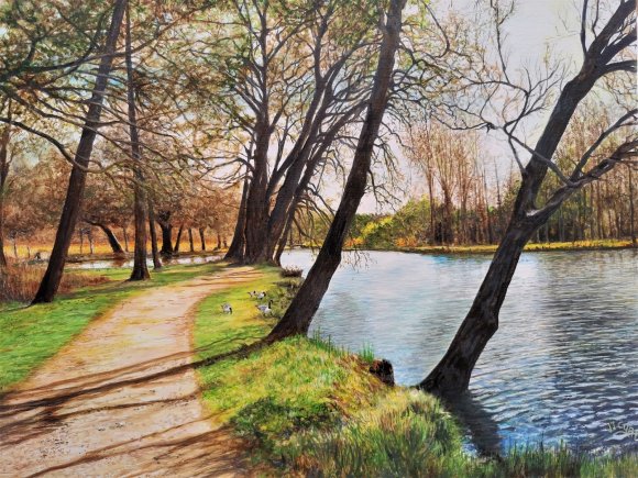 la ballade des oies de chamarande