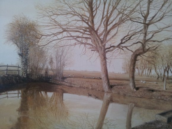 la mare aux canards