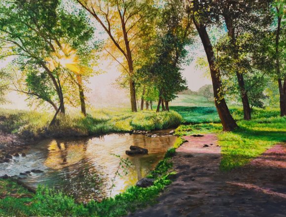 la rivière ensoleillée