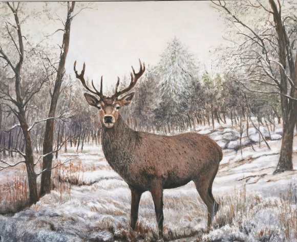 le cerf dans la neige