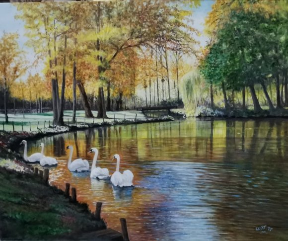 le lac des cygnes