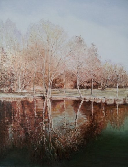 le miroir aux arbres
