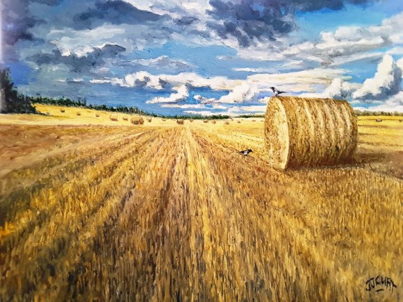 les  pies font la moisson