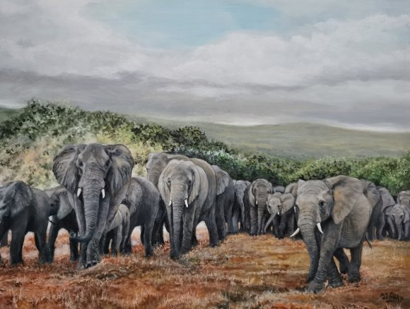 les éléphants