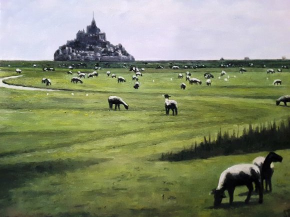 les moutons du mont saint michel