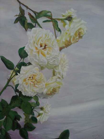 les roses blanches