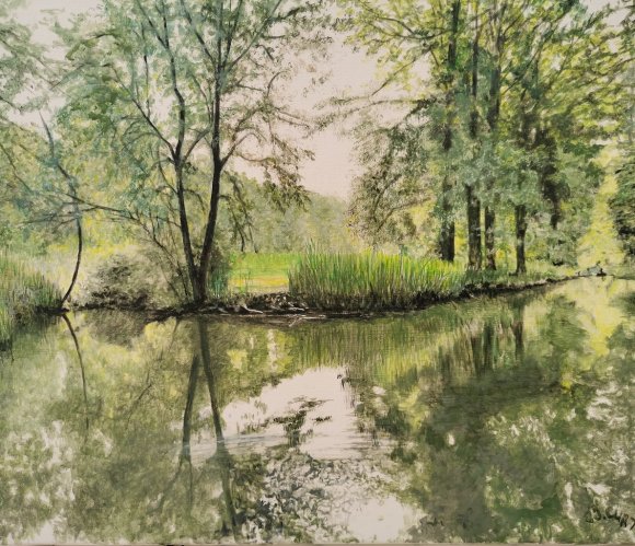 marais poitevin 4