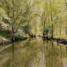 marais poitevin 6
