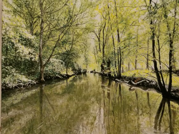 marais poitevin 6
