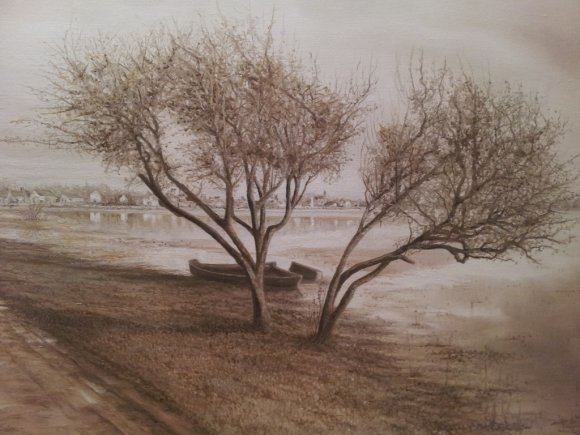 marais poitevin