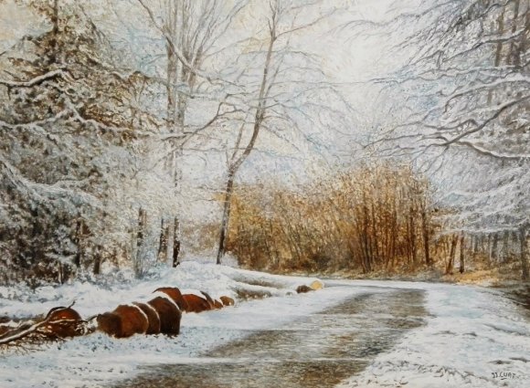 neige à barbizon