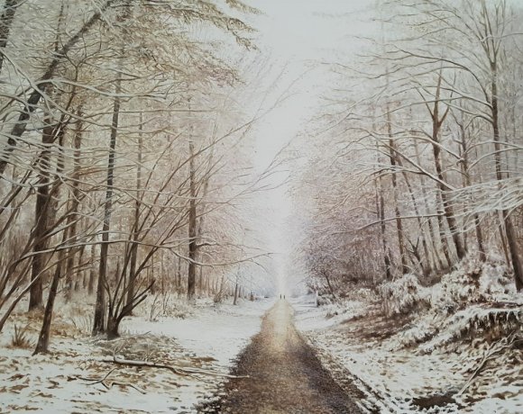 neige à fontainebleau