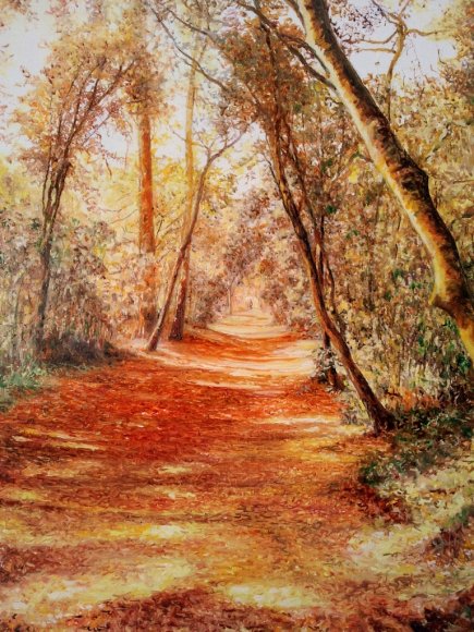 sous bois de cayola