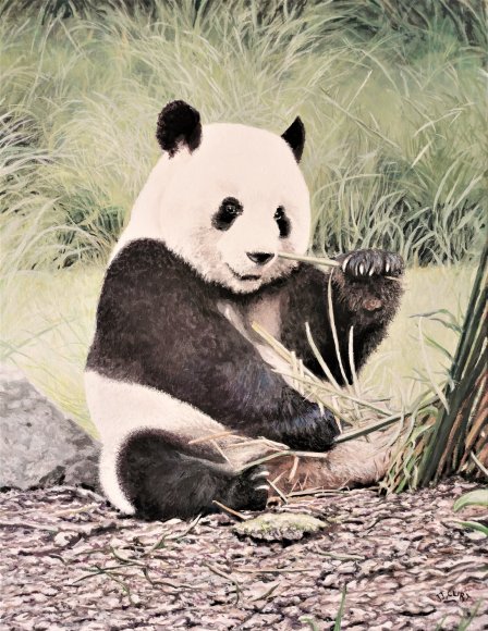 un adorable végétarien