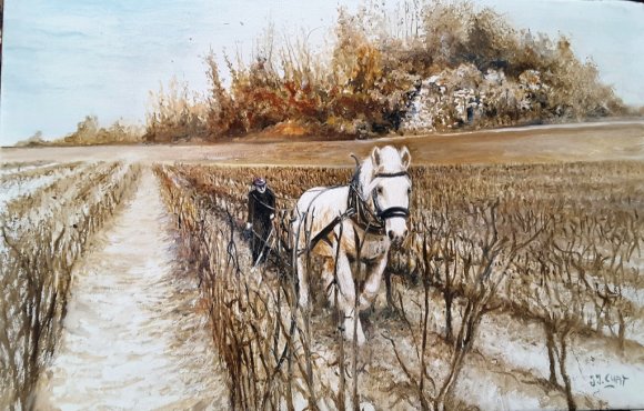 un cheval dans la vigne