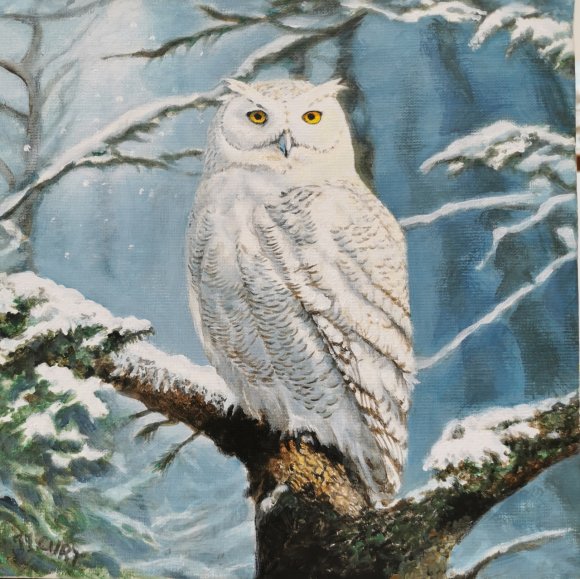 un harfang des neiges