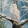Animaux