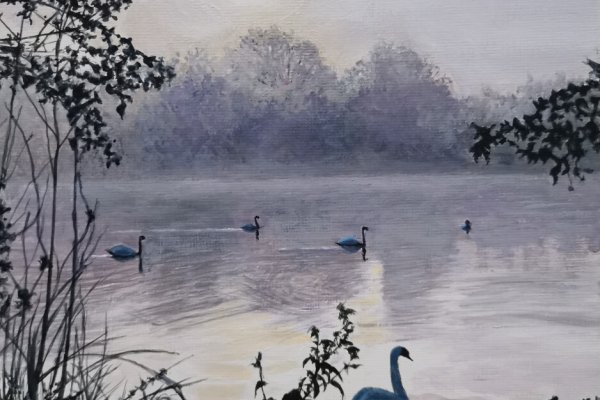 Le lac aux cygnes