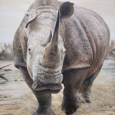 Mon rhino