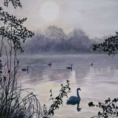 Le lac aux cygnes
