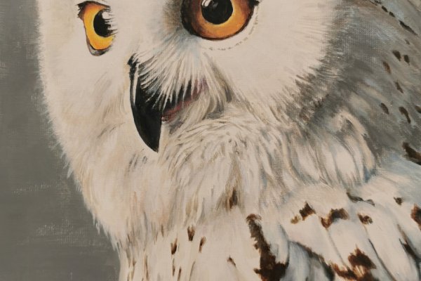 Un hibou c'est chouette